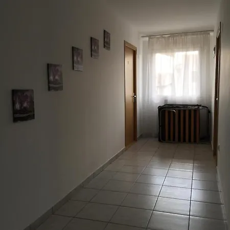 Guest house Vila Steaua *