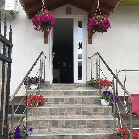 Pensiune Vila Steaua Eforie Nord